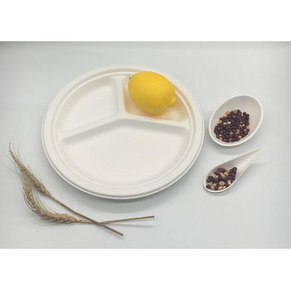 10" 3 Compartment Strong Dinnerware Bagasse Paper Plates