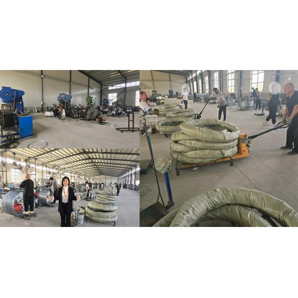 Cross Type Hot Dipped Galvanized Barbed Wire Razor Wire for Border Protection Fence