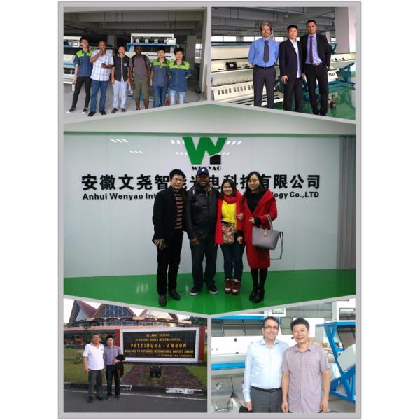 Intelligent Prunes Blueberry Cabbage Kiwicha Fried Onion Vegetable Fruit Color Sorter Machine for Farm Processing