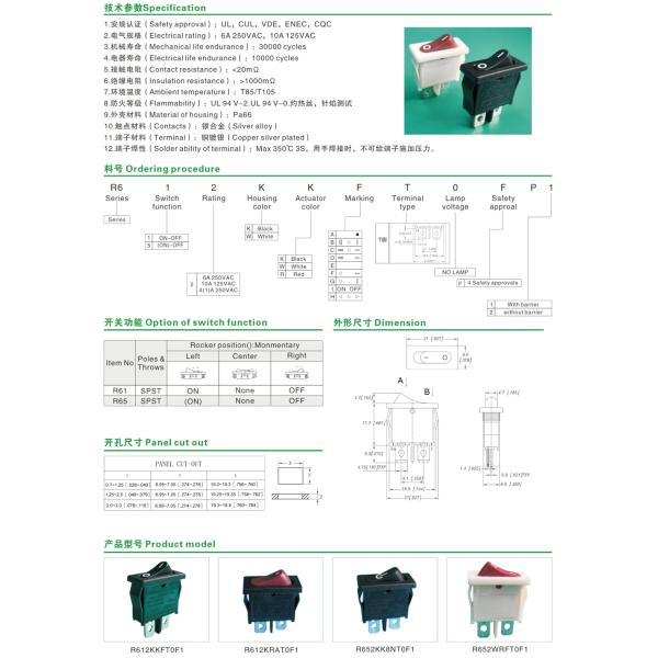 Rocker Switch R6 Series（19*7mm）