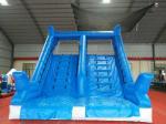 Customized Inflatable Dolphin Water Slide WSS-248 With Air Blower 10x5x5.5m