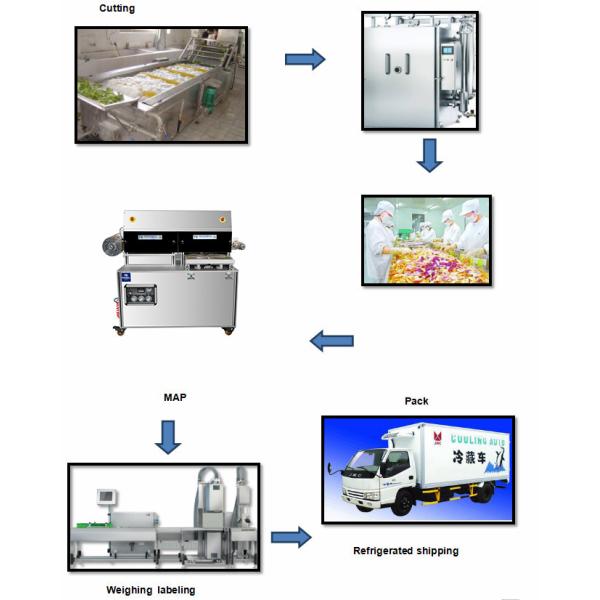 Map Packaging Equipment Modified Atmosphere Vacuum Tray Sealer Vertical Display
