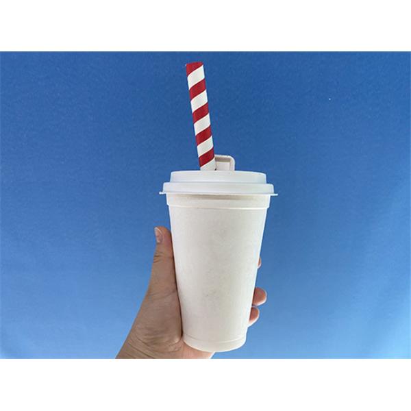 Natural Biodegradable Cups And Lids φ95 X 20 Mm