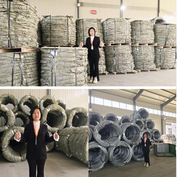 Cross Type Hot Dipped Galvanized Barbed Wire Razor Wire for Border Protection Fence