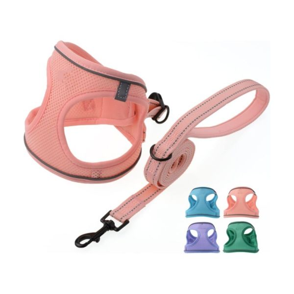 Close-up of dog harness stitching and material quality