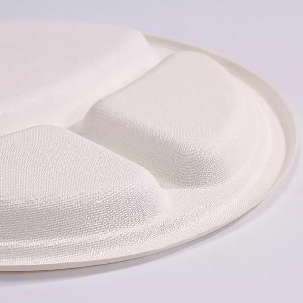 Biodegradable Disposable Bagasse Three Compartment Paper Plates