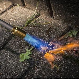 OBM Supported UPPERWELD UP101 Propane Torch for Garden Weed Killing and Ice