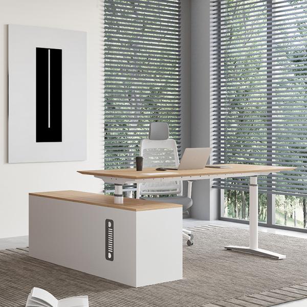 Modern Electric Height Adjustable Desk Ergonomic Executive Standing Desk
