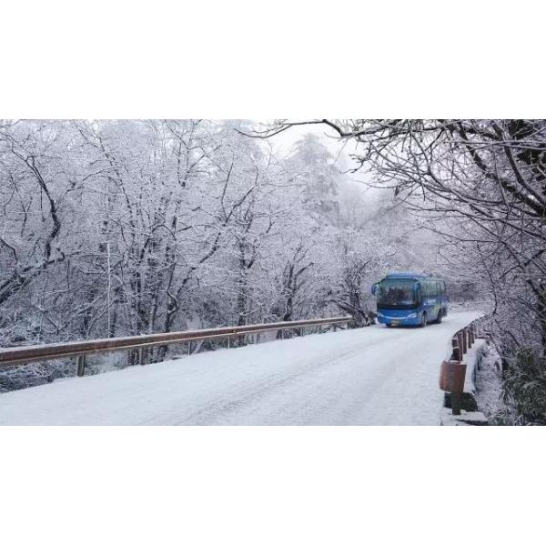 Heavy Truck Coolant Heater High Voltage Nominal Voltage DC 870V