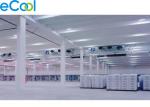 -25℃ ~ -18℃ ELT19 Frozen Food Storage Warehouses 6000Tons Industrial Refrigerati