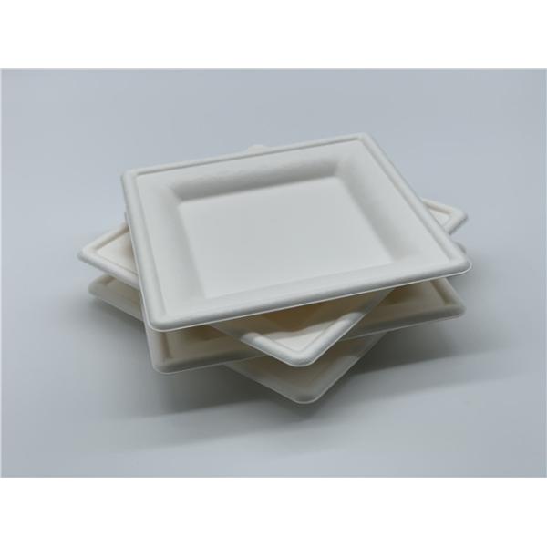 6 Inch Waterproof Tableware Square Sugarcane Waste Plates