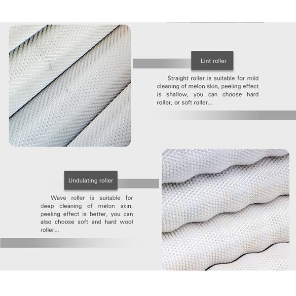 Large scale brush Washing cleaning and peeling machine Ginger Potato Carrot Taro Sweet potato Yam Saiko persimmon papaya horseshoe macadamia nut