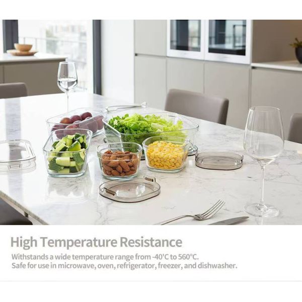 IKOO Borosilicate Glass Food Containers Wholesale