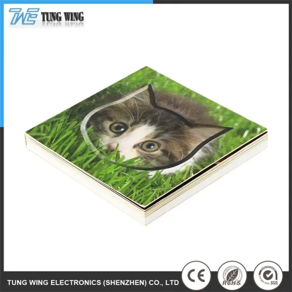 Overseas book printing sound button board book application example