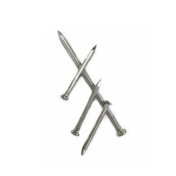 2-1/2'' Smooth Shank Galvanized Concrete Nails For Construct