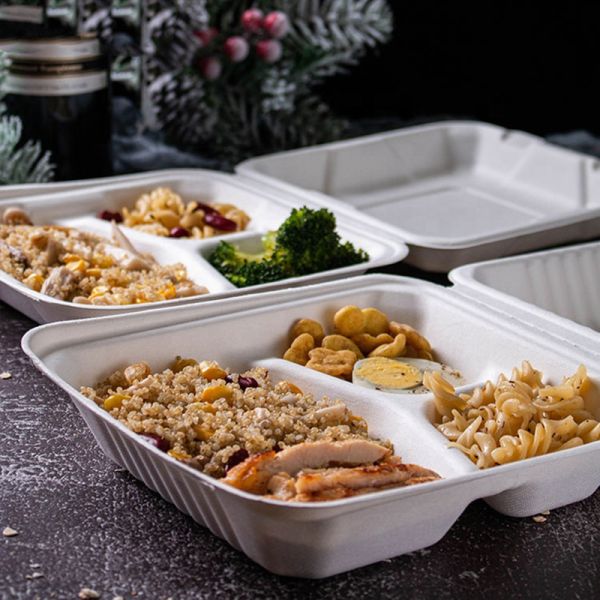 8in 9in Biodegradable Sugarcane Bagasse Clamshell Freezable Fast Food Container Tableware