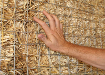Durable Galvanized Metal Mesh Customized Welded Wire Mesh