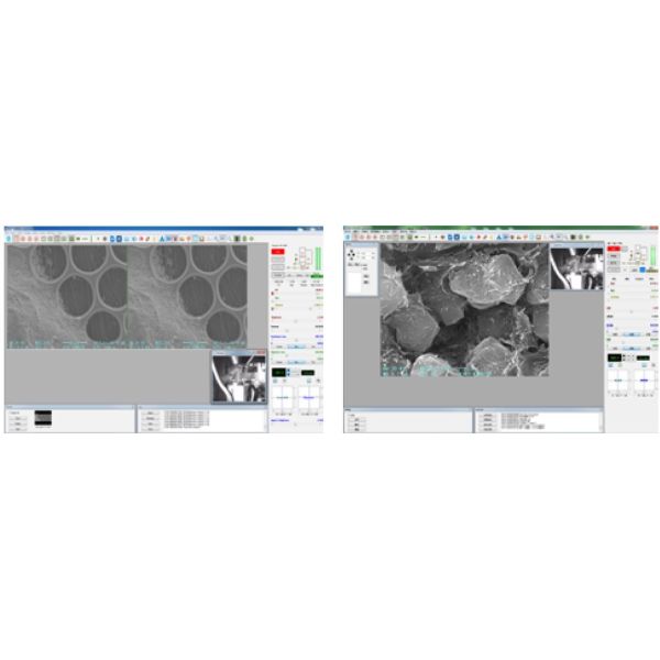 8X-300,000X Scanning Electron Microscope 3-6nm Resolution EBSD EBSD