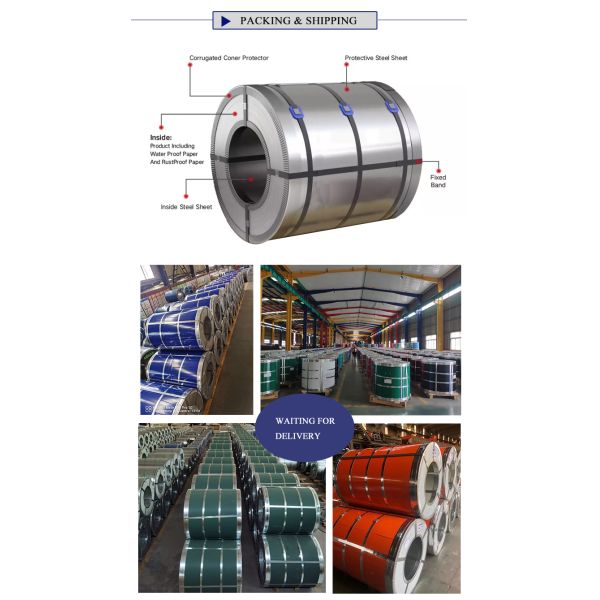 Customized Flowers Design PPGL Color Coating Sheet for Decoiling Processing Service Galvanized Coated PPGI Coils
