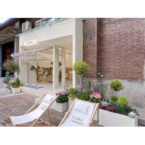 Sunrise Folding Window Design Capturing Early Light Patterns Through Adjustable