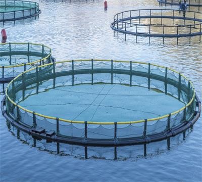 High Performance Knotless Fishing Net Making Machine China