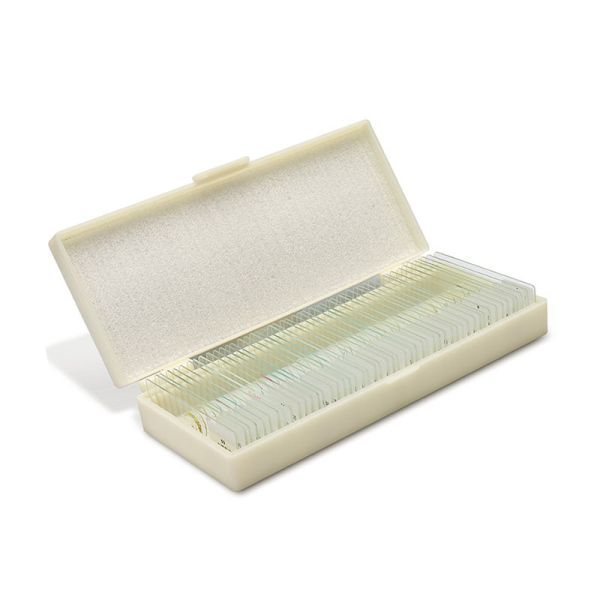 Gift Wrapping 50pcs Plastic Box Zoology Microscope Slides