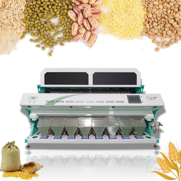 Color Sorter Manufacturer-WY Color Sorting machine can sort rice, seeds, plastic, grain, tea, nuts