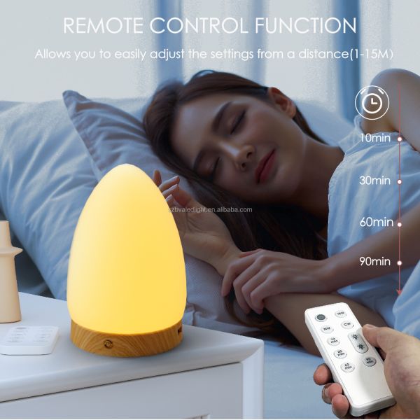 Remote control functionality demonstration