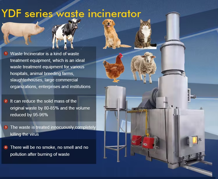 High-Efficiency Waste Incinerator with Pyrolysis Gasification, Customizable Capacity, and Emission Compliance for Municipal Waste