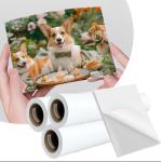 Aqueous 140mic Matte Inkjet Self Adhesive PP Polypropylene Paper Roll