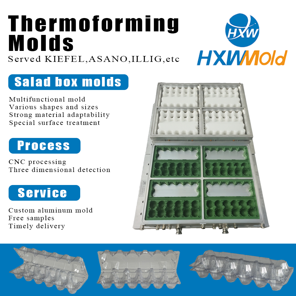 Multi Station Hot Forming One Time Egg Container Mold Customized