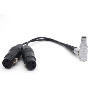 Straight Input Camera Audio Cable 10 Pin To XLR 3 Pin Female ODM