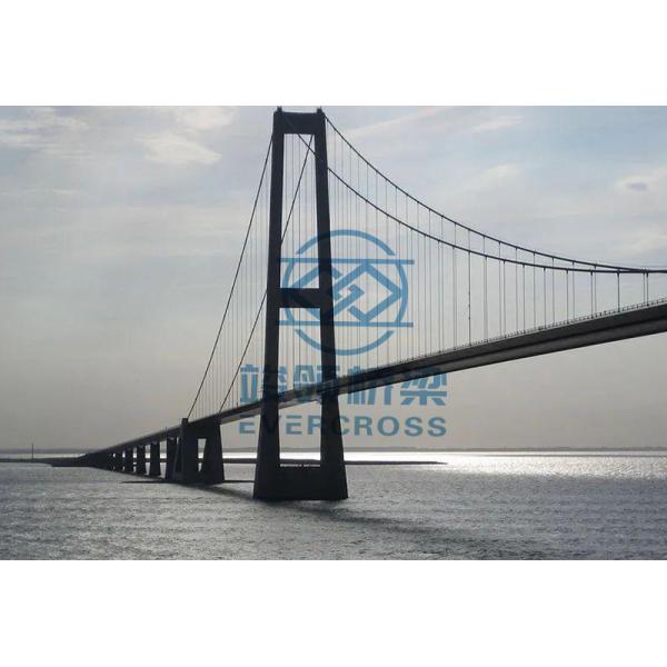 High Strength Cable Stayed Suspension Bridge Customized Large Span