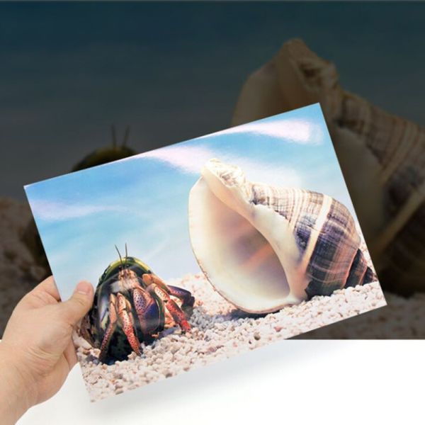 Custom Adhesive Backing Glossy Inkjet Printing Paper Waterproof UV Resistant