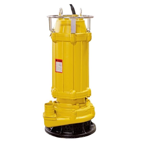 Stainless Steel Non Clogging Submersible Sewage Pump Station 220V
