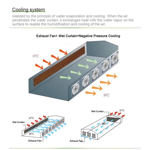 Wind Resistance Multi Span Film Greenhouse With Ventilation System