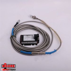 PR6423/010-010 CON021 EMERSON PLC Module