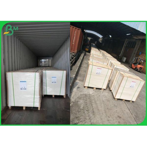 A4 Size 100gsm 120gsm Color Laser Printing Paper With Good Light Resistance A4 Size 100gsm 120gsm Color Laser Printing Paper With Good Light Resistance