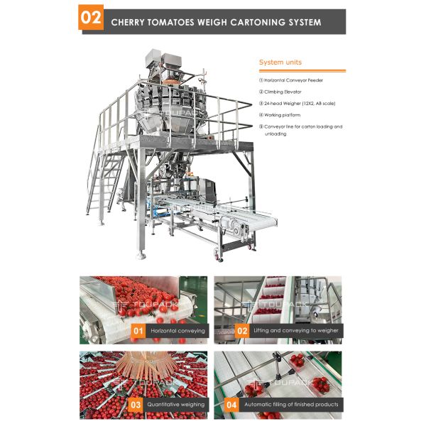Fruit Clamshell Packaging Line Automatic Fruit Weighing And Filling Machine PET Box Fruit Packaging System