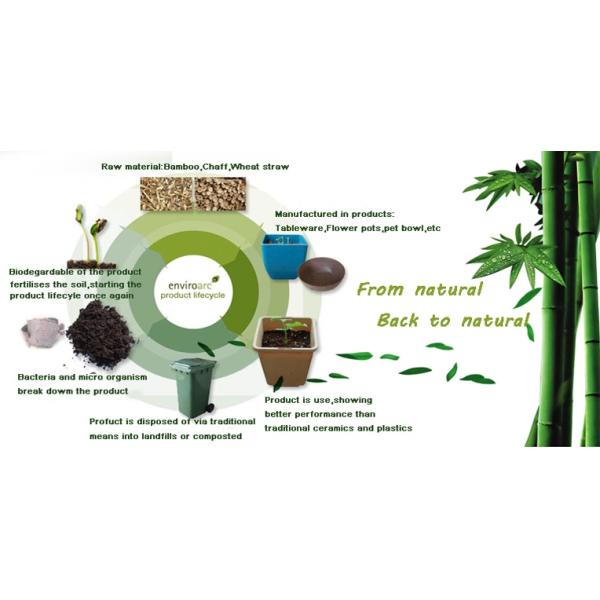 Eco Bamboo Fiber Tableware Coffe Cup