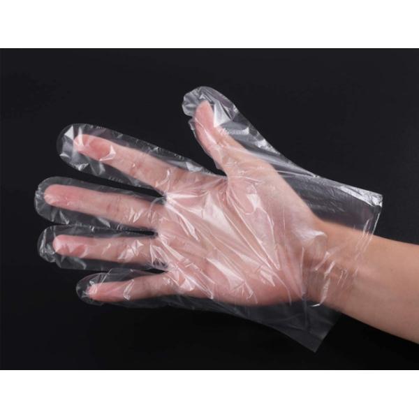 PE Disposable Plastic Gloves , Garden BBQ Plastic Gloves Multifuction Restaurant Kitchen