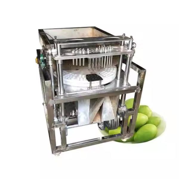 Automatic Emirates Date Pitting Machine Cherry Olive Jujube Pitter Corer Seed Remover Machine