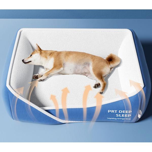 large cat beds amazon