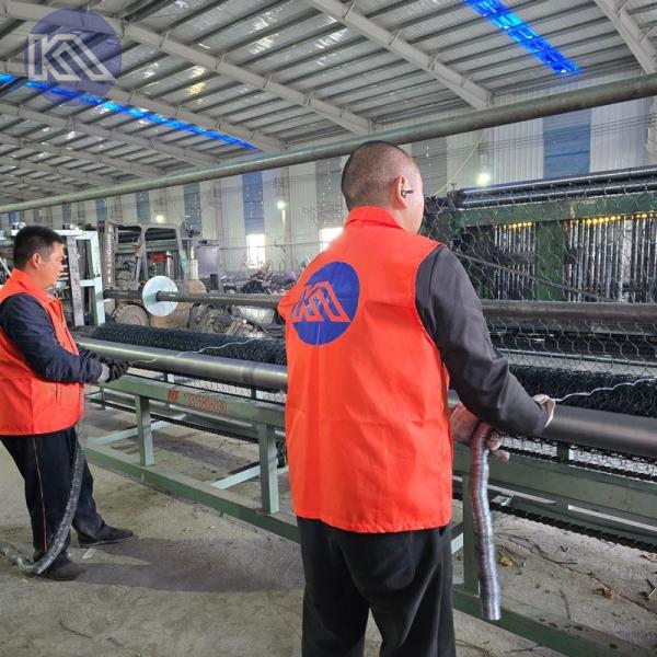 Double-Twisted Hexagonal Design Ensuring Strength Durability and Adaptability for Gabion Wire Mesh Wall Project