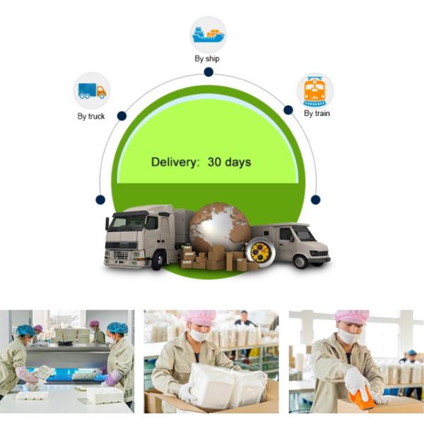 9 Inch 16g 100% Biodegradable Sugarcane Bagasse Plates