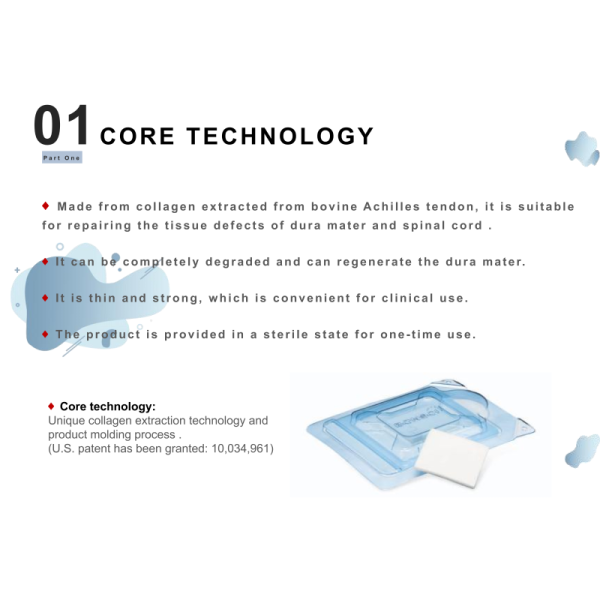Dura Substitute Non Sutured Tissue Regeneration
