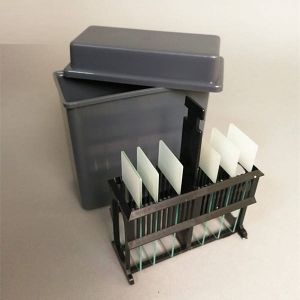 Histology Tissue Slide Glass Staining Jar Staining Rack Pathology microscope