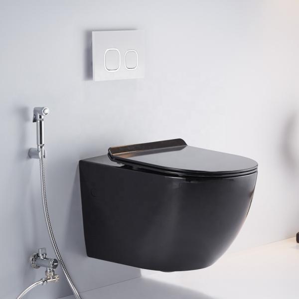 Elongated Wall Hung Toilet Adjustable Height And Soft Closing Seat