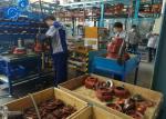 Servo Motor Water Pump Assembly Line , Automated Assembly Equipment