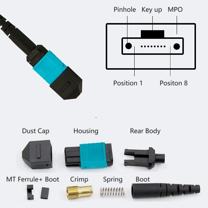 ≤0.3dB MTP/MPO Female -LC OM4 Multimode Breakout Fiber Patch Cord